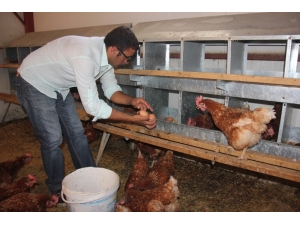 Medyada Haberlerini Gördü, Devlet Desteğiyle Çiftlik Kurdu