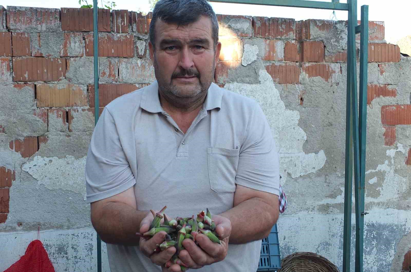 burhaniye-de-kinali-bamya-ilgi-gordu