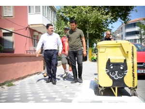 Altıeylül’de Caddeler Renklendi