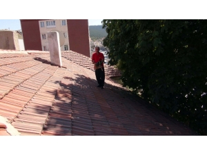 Çatıda Mahsur Kalan Kedi İçin İtfaiye Seferber Oldu