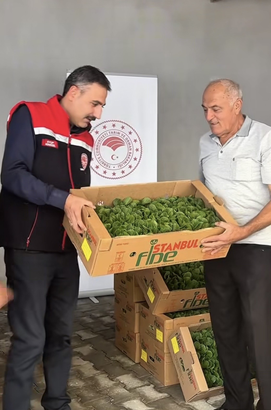 burdur-da-ureticilere-164-bin-500-marul-fidesi-dagitildi