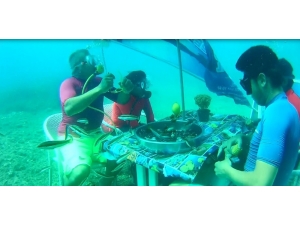 Deniz Altında Yemek Keyfi