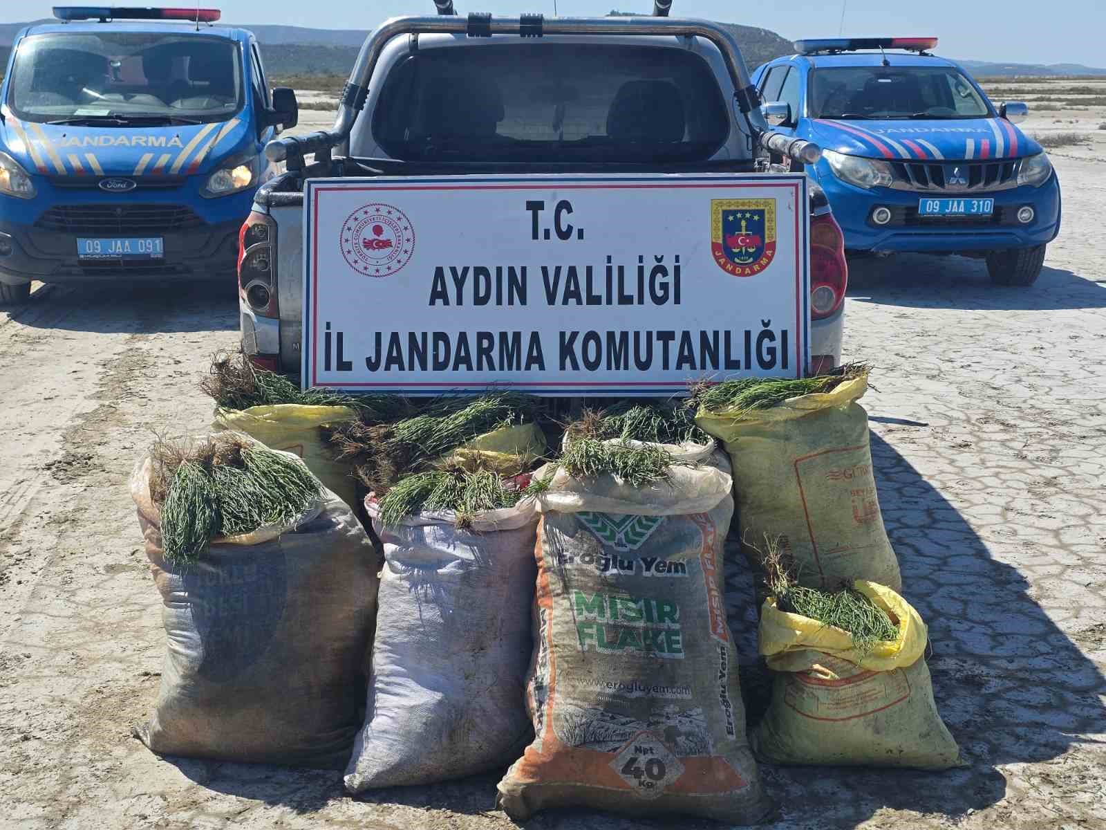 dogal-koruma-alanlarinda-izinsiz-bitki-toplayan-8-supheliye-islem-yapildi