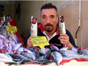 Ete Doyan Vatandaşlar Balığa Yöneldi