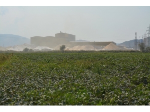 Söke Ovası’nda Toz Tehdidi