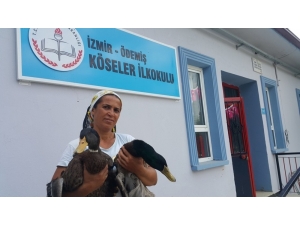 Çiftlik Gibi Okulda 100 Kanatlı Hayvan Var