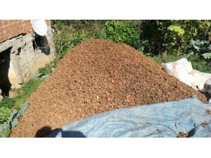 Fındık Zurufu Ve Deniz Yosununu Ekonomiye Kazandırma Yolu