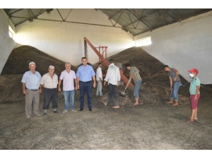 Yağlık Ayçiçeği Yüzleri Güldürdü