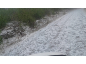 Başkan Yaralı Dolunun Vurduğu Mahallelerde