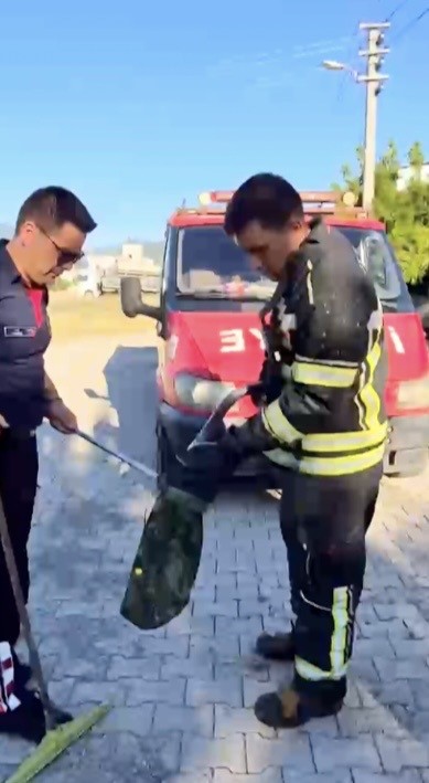 evin-bahcesine-giren-yilan-itfaiye-ekiplerini-pesinden-kosturdu