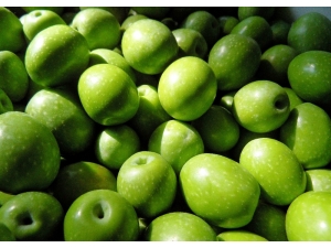 Zeytin Ve Zeytinyağı İhracatında Tarihi Rekor