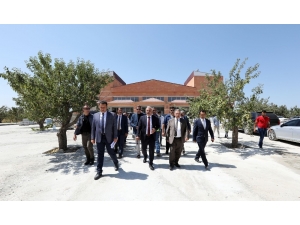 Vali Zorluoğlu Fidanlık Parkı’nda İncelemelerde Bulundu