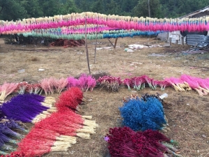 Akseki’de Kuru Çiçek Sektörü Yeniden Altın Çağını Yaşamaya Başladı