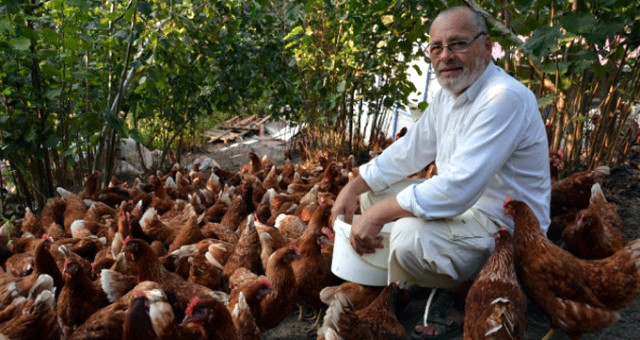 7 Yıl Önce 60 Tavukla İşe Başlayan Tecrübesiz Adam, Büyük Başarı Yakaladı