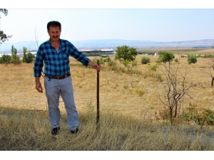 Koyun Otlattığı Çayıra Fabrika Kuracak