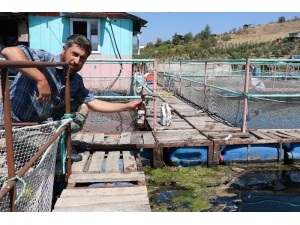 Kahramanmaraş’ta Çevre Kirliliği