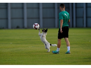 Samet Aybaba: “Beşiktaş Maçı Zorlu Olacak”