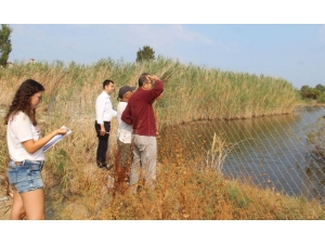 Kuşadası’nın Tek Sulak Alanı Kocagöl Mahalli Sulak Alanı İlan Edilecek