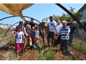 Anamur’da Su Alamayan Mahalleli Çileden Çıktı