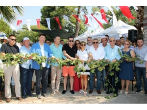 4. Karaova Bağ Bozumu Şenlikleri Başladı