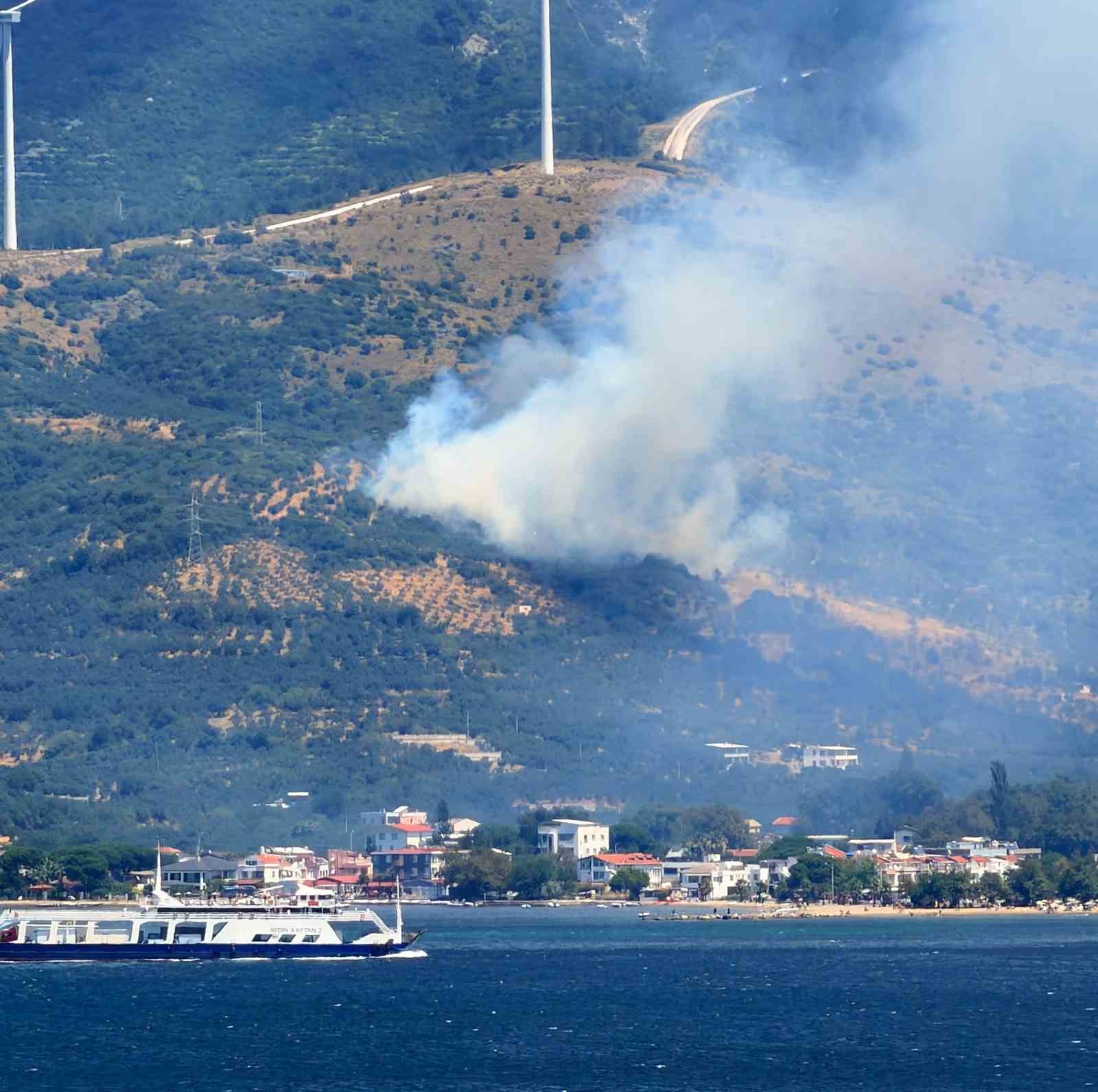 marmara-adasi-nda-orman-yangini-basladi