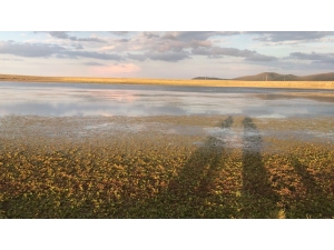 Asboğa Gölü Turizme Kazandırılmayı Bekliyor