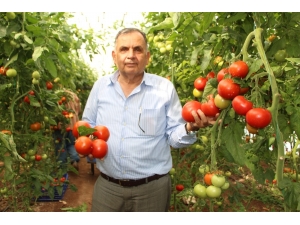 Kumluca Ziraat Odası Başkanı Süleyman Kayhan: