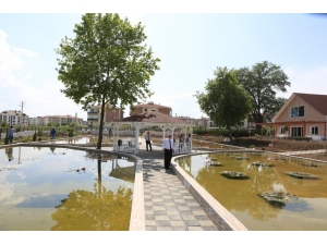 Türkiye’nin İlk Ve Tek Nilüfer Sanat Parkı Bolu’da Açılıyor