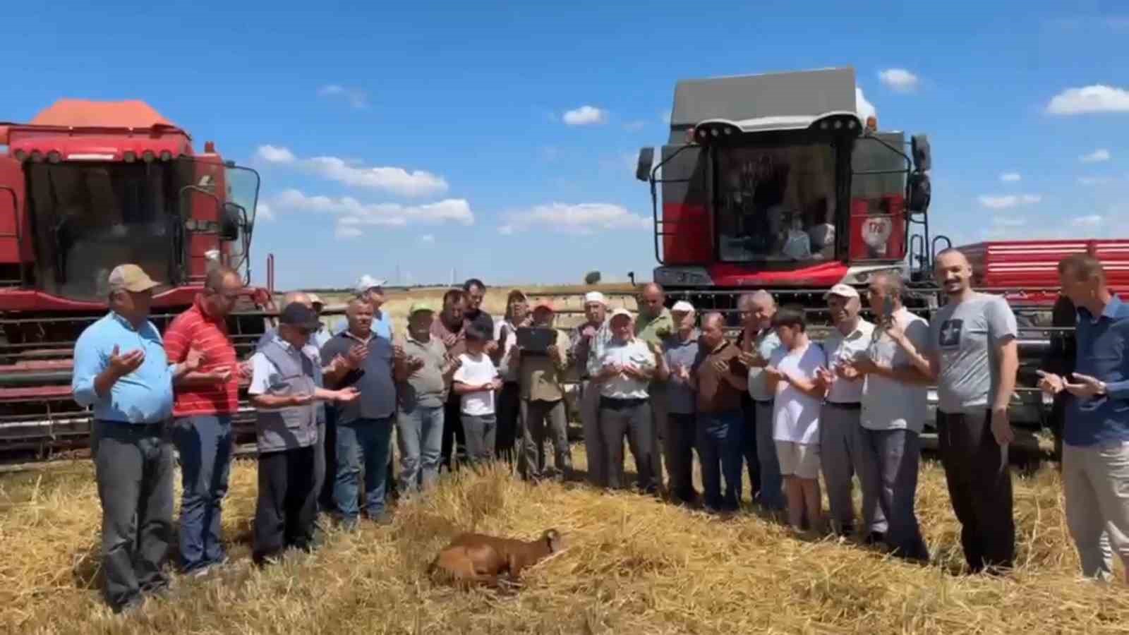 edirne-de-bugday-hasadi-dualarla-basladi