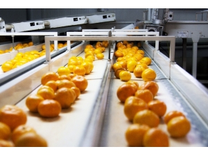 Yaş Sebze Ve Meyve İhracatçılarından Tanıtım Atağı