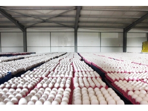 Afyonkarahisar’ın İhracatı Arttı