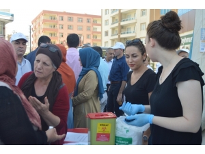Mardin’de ‘Halk Sağlığı Haftası’ Kutlamaları Halaylarla Başladı