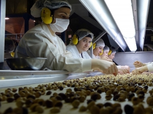 İhracatın Yüzakı Fındık