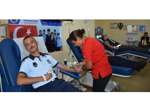 Siirt’te Zabıtalar Kan Verdi