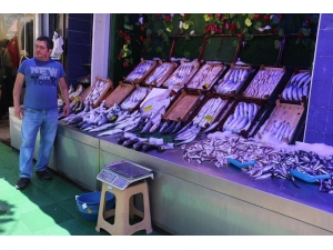 Balıkta İlk Günler Durgun Geçiyor