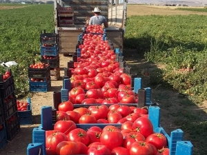 Başkan Buluşan Aracılara Ateş Püskürdü