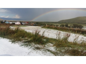 Ardahan’da Çiftçi Borçları 1 Yıl Ertelendi