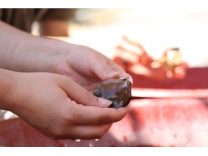 Adakadıbelli: “Bakanlığın Kararı Olumlu Ancak Öğrenciler Arkeoloji Bölümünü Tercih Etmedi”