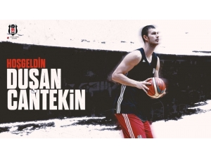Duşan Cantekin, Beşiktaş’ta