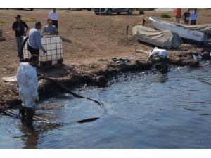 Denizi Kirleten Fuel-oil Sızıntısının Kaynağıyla İlgili Flaş Gelişme