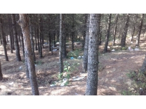 Niksar Çamiçi Yaylası’nda Temizlik Çalışması