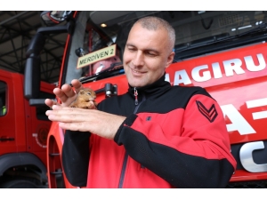 İtfaiye Çavuşu Yavru Sincaba Çocuğu Gibi Bakıyor