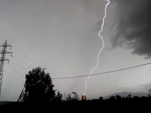 Ordu’da Ağaca Yıldırım Düştü