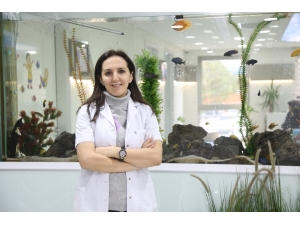 Güzelliğin Anahtarı ’Altın İğne’