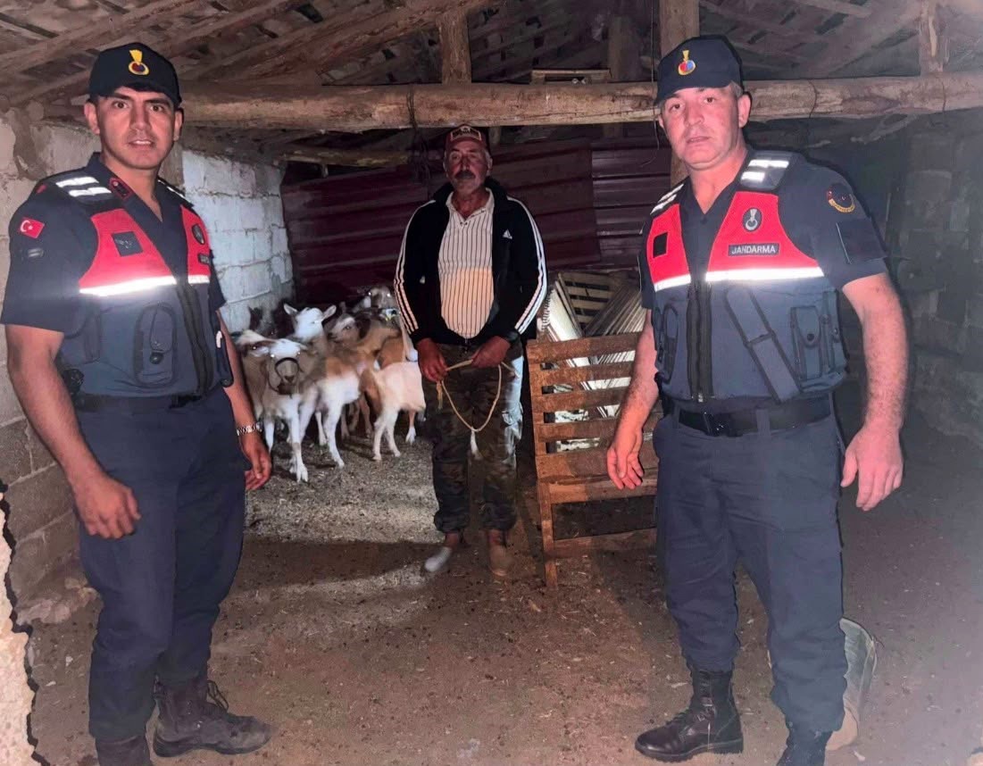 canakkale-de-kaybolan-15-kucukbas-hayvan-jandarma-ekiplerince-bulunarak-sahibine-teslim-edildi