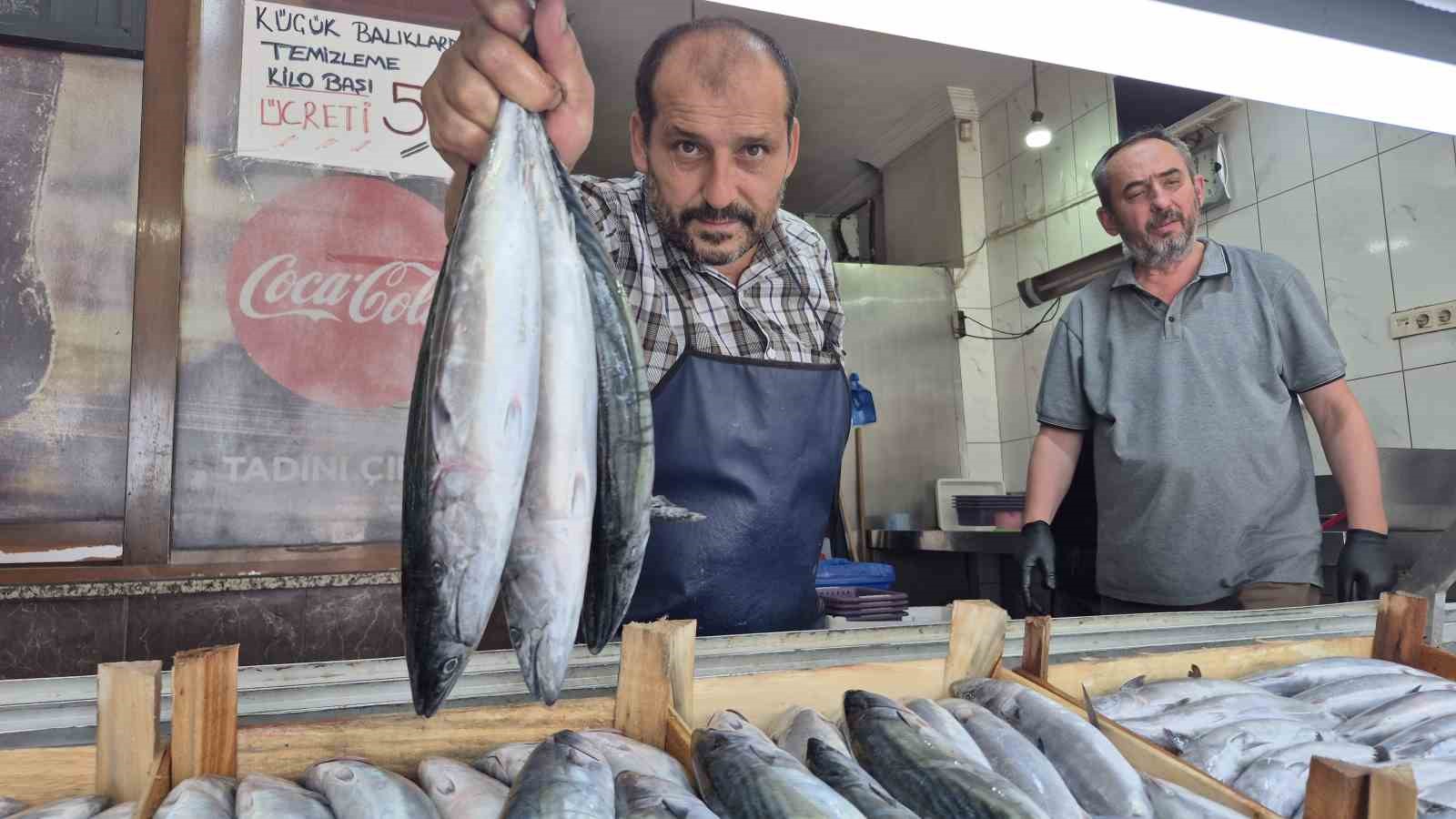 sezonun-gozdesi-palamut-ve-hamsi-tezgahlari-senlendirdi