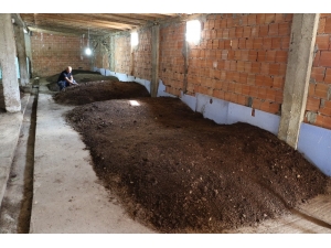 Trafik, Beton, Gürültü, Keşmekeş.. Bir Anda Karar Verdi