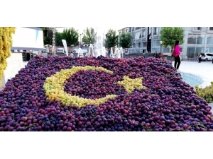 Sarıgöl’de Üzümden Bayrak Yapıldı