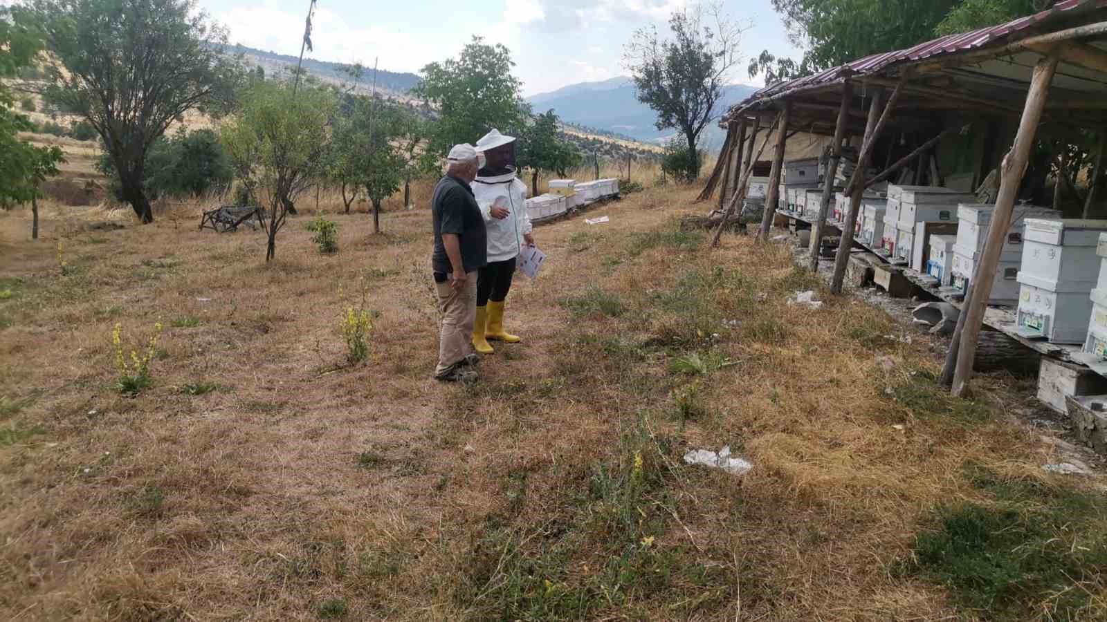 emet-te-arili-kovan-tespit-calismasi