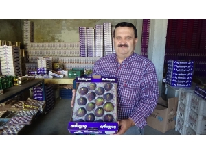 Siyah İncir Fiyatı Dövizi Solladı